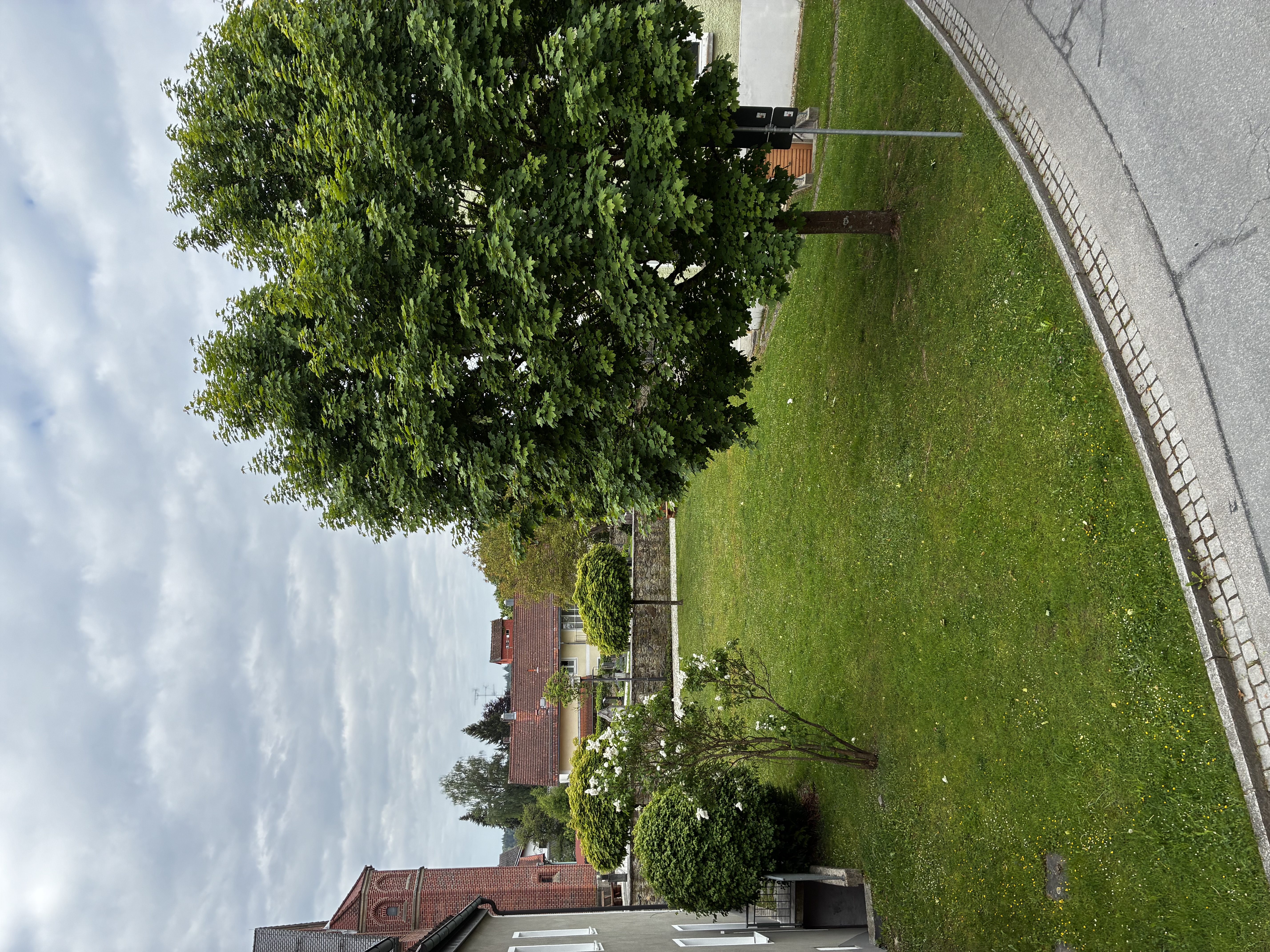 Öffentliche Freifläche