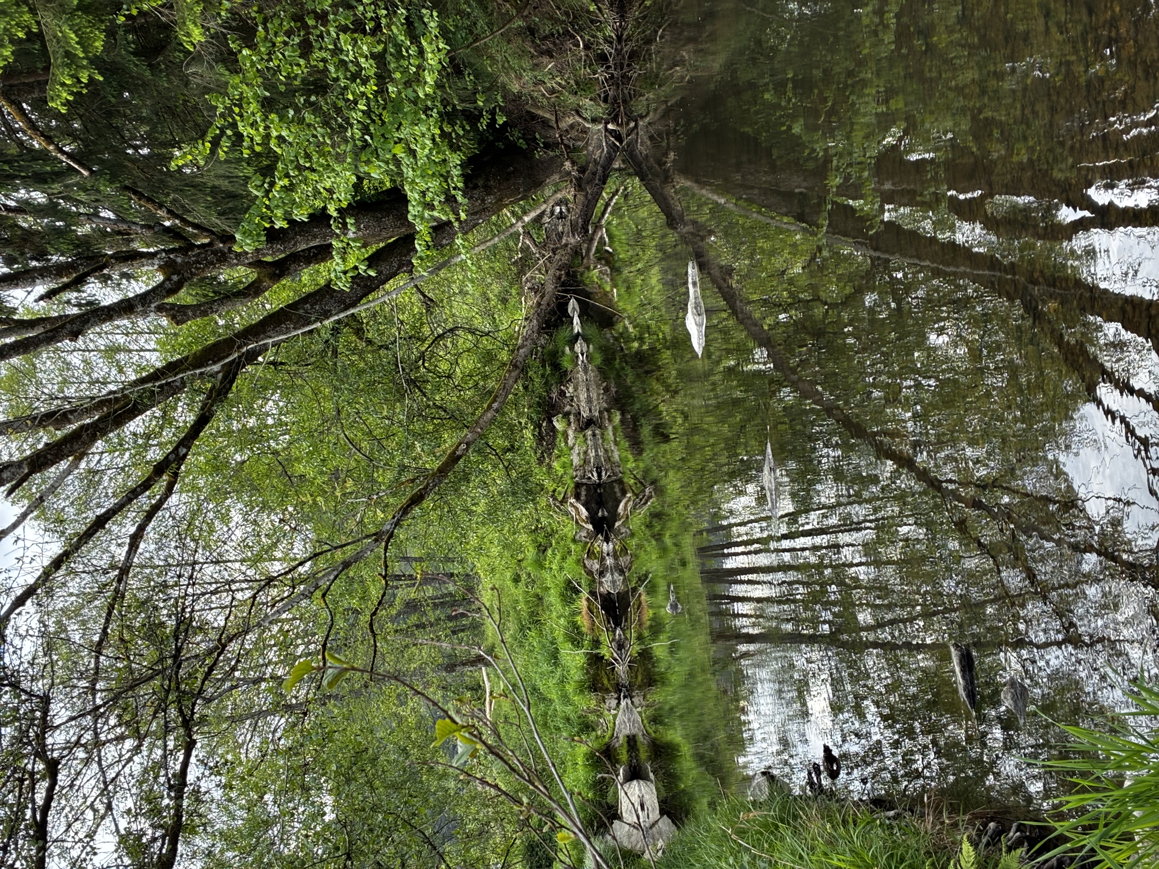 Gaissa bei Grubmühle