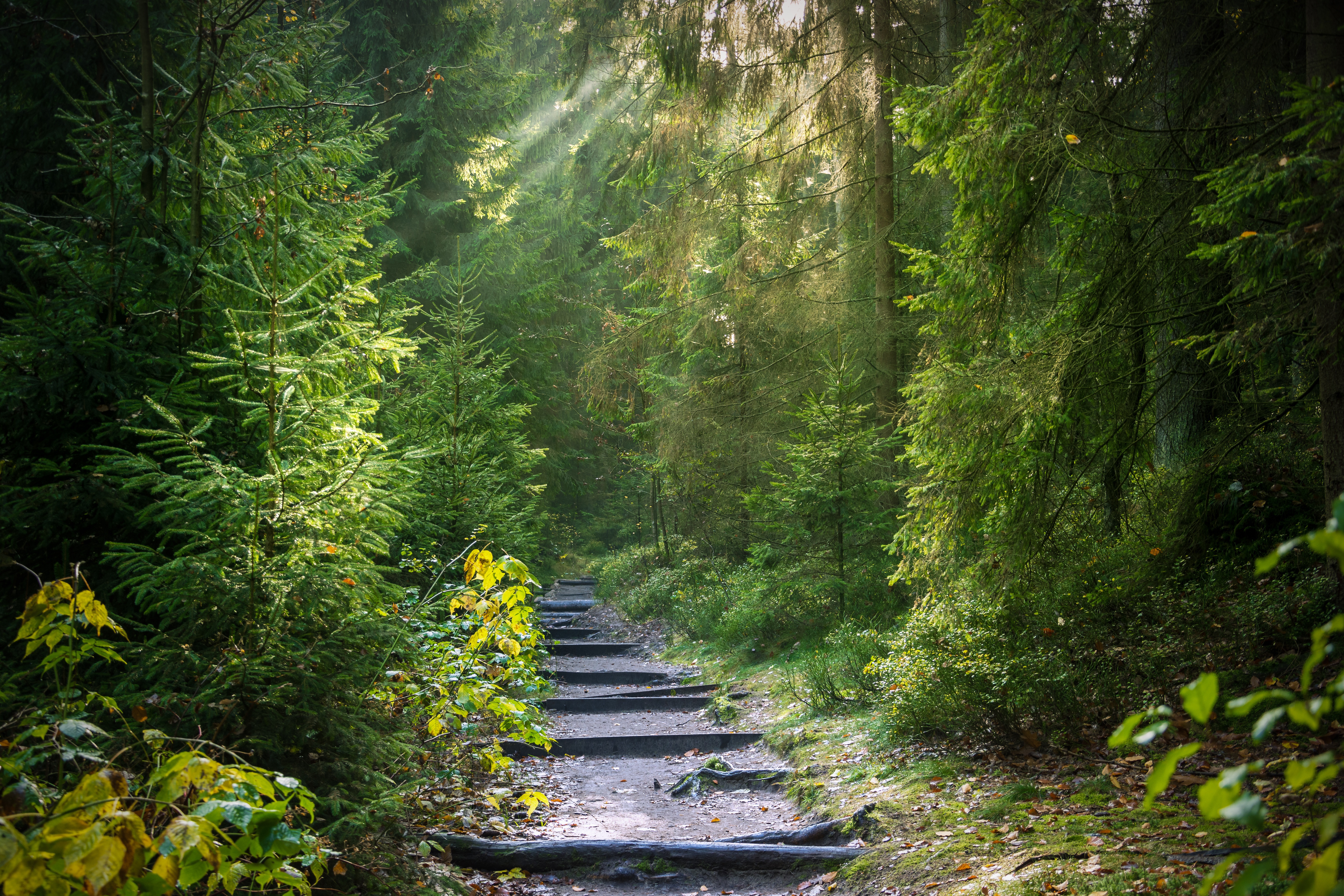 Wanderweg